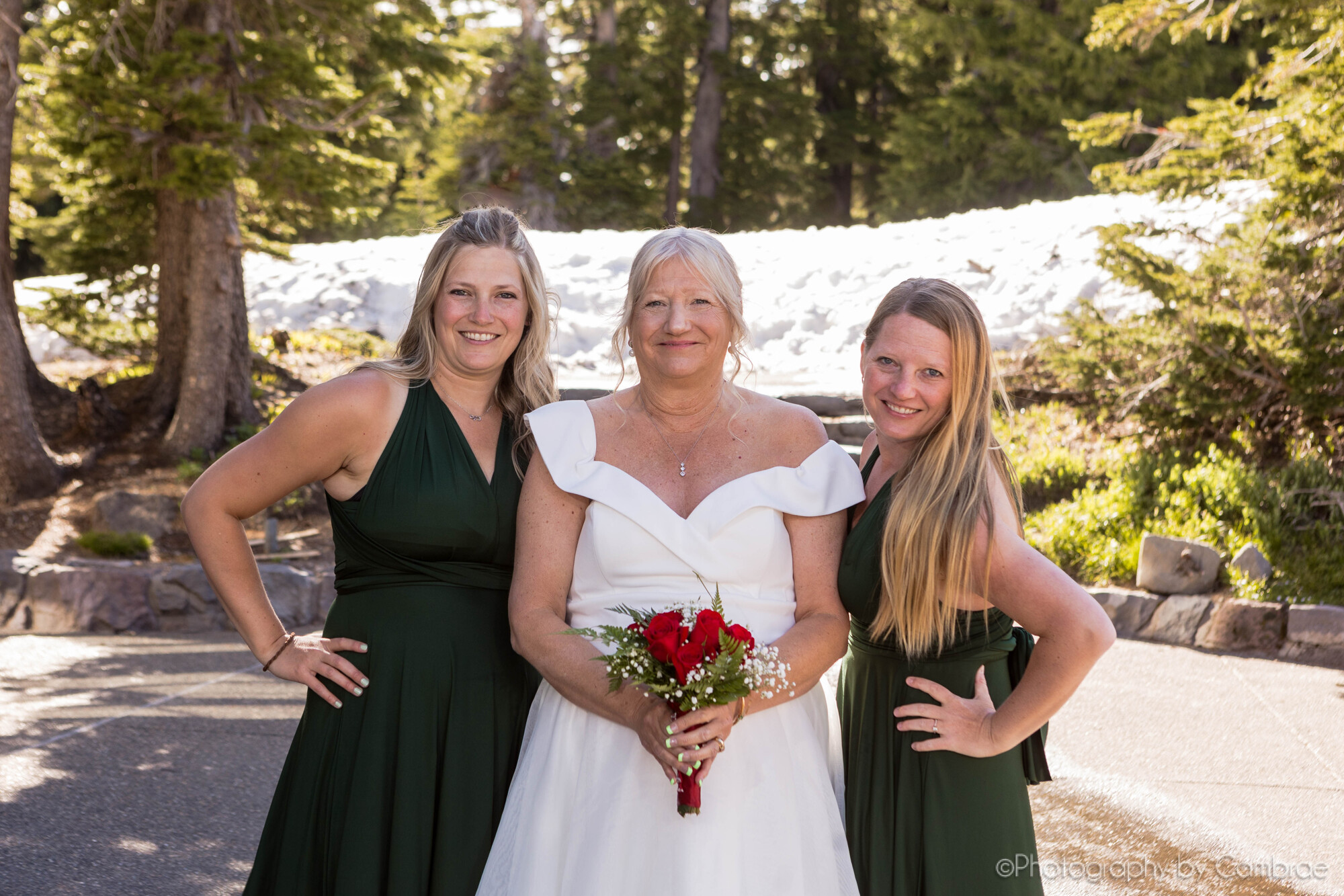 Highly Organized Wedding Planning and Coordination Services